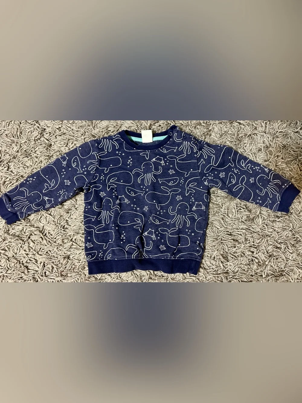 Gymboree Navy Sea Creatures Sweatshirt